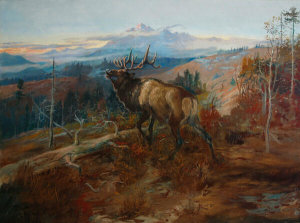 Charles M. Russell - The Elk, 1900