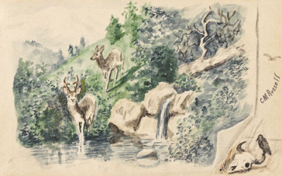 Charles M. Russell - Doe and Buck Near Waterfall, c.1882