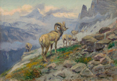 Charles M. Russell - Mountain Sheep Grazing, 1913