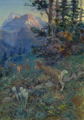 Charles M. Russell - Deer in Forest, 1917
